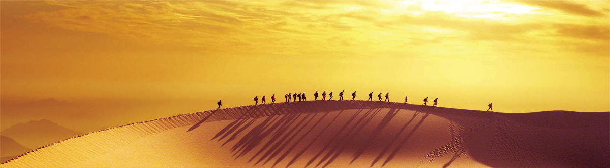 萊陽銀通紙業(yè)有限公司 萊陽銀通紙業(yè)有限公司